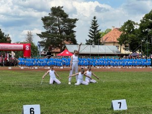d894968b-1ce6-435b-ad27-486fb624c08c.jpg